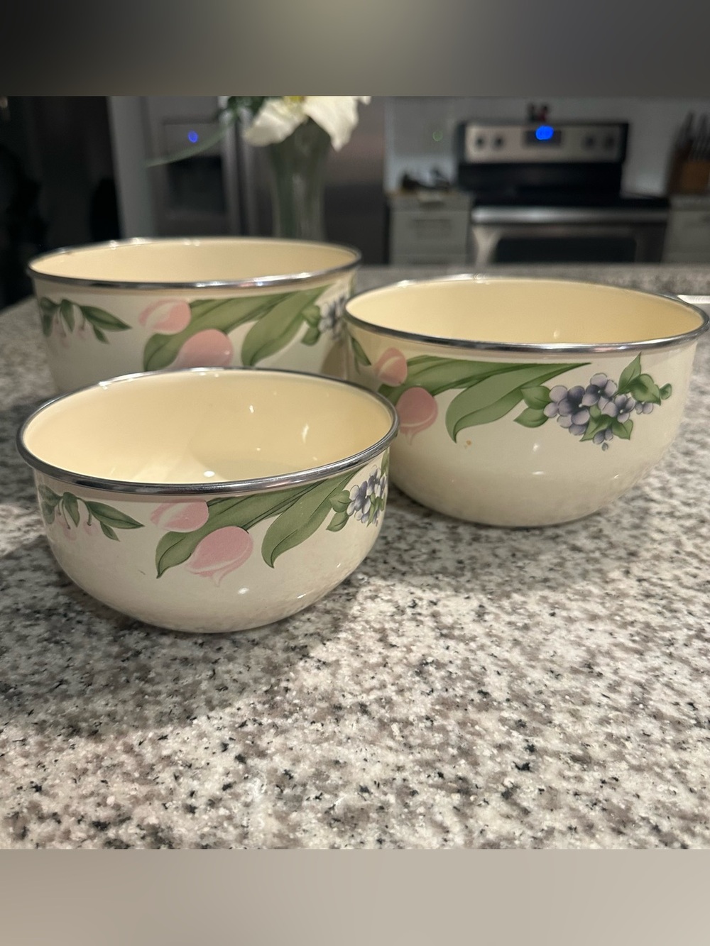 VTG Pfaltzgraff Garden Party Impressions Enamel Metal Mixing Bowl Set Of 3 READ